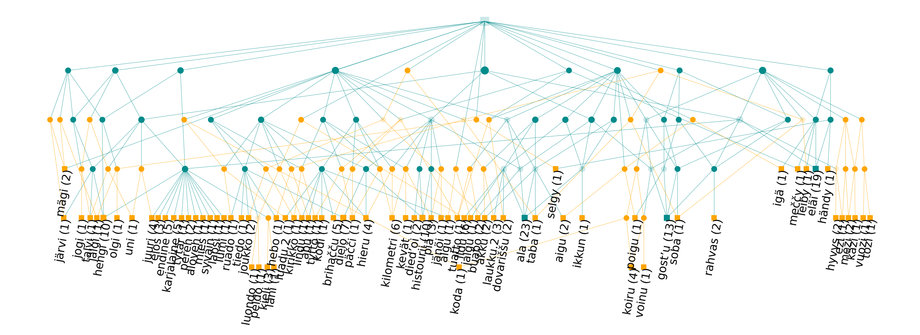 Custom lattice on a sample of Livvi Karelian nouns and cells