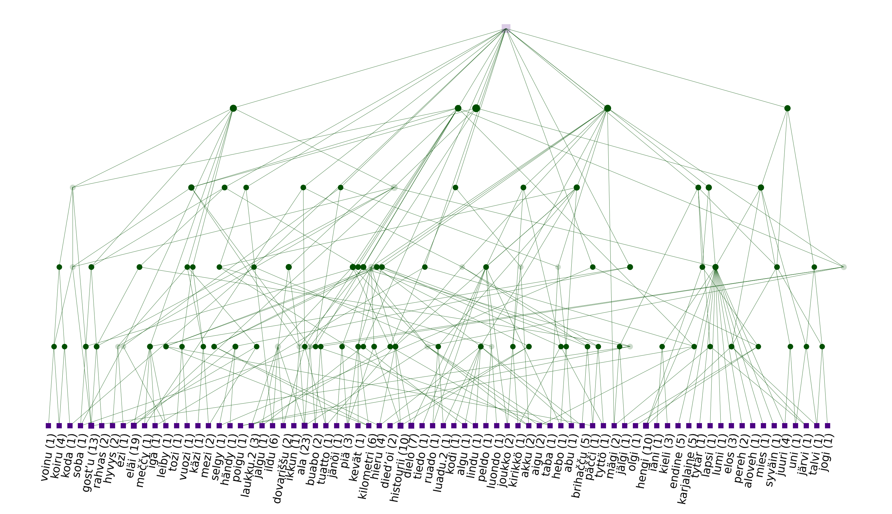 Lattice on a sample of Livvi Karelian nouns and cells